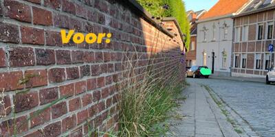 Groendienst