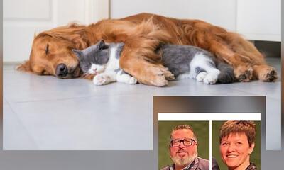 dieren