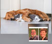 dieren